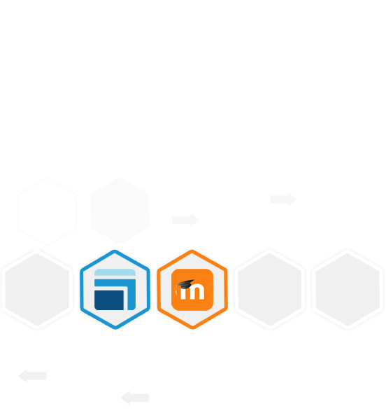 LMS Connectors